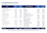 prepare audit ready corporate financial statements